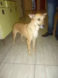 KUKA