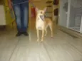 KUKA