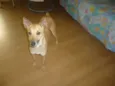 KUKA