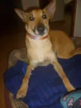 KUKA