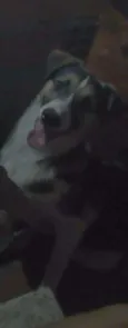 Jonh