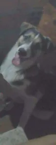 Jonh