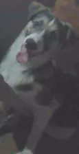 Jonh