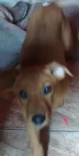 Mel