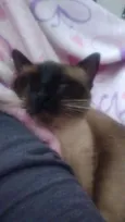 Sofia