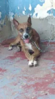 Marrozinho 
