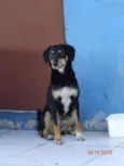 Neguinha