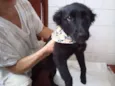 Anita