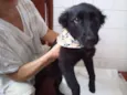 Anita