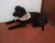 Anita