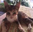 Carmen