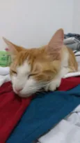 Dimitri