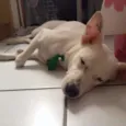 Billy