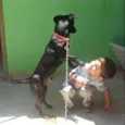Simba
