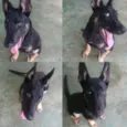 Zoe