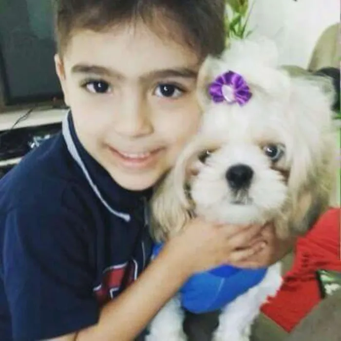 Cachorro ra a Lhasa idade 1 ano nome Mel