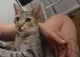 Mel