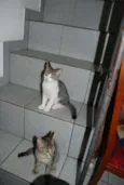Edward & Alfonse
