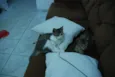 Edward & Alfonse