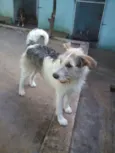 JACK