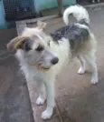 JACK