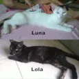 Lola e Luna