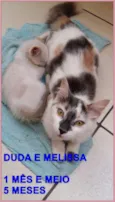 DUDA E MELISSA