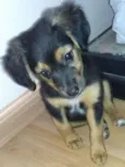 Dora