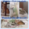 Mãe e filhote