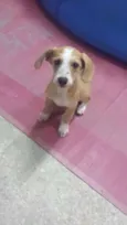 Ainda não tem