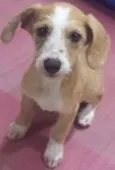 Ainda não tem