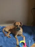 Nina