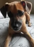 Nina