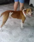 LUCKE 