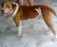 LUCKE 