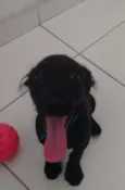 Bruce