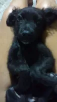 Bruce