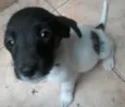 Sem nome ( opção de