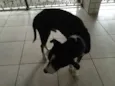 ZULU