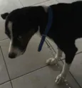 ZULU