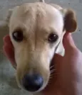 princesa