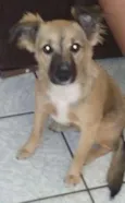Belinha