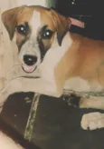 Lucy