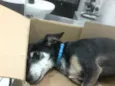 Tuti