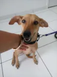 Esperança