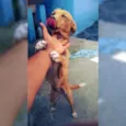 Belinha