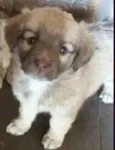 BEBE 3