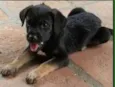 BEBE 1