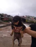meninos