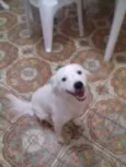 bolt